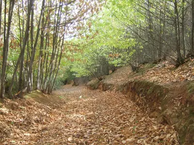 Paisaje cerca de esta villa