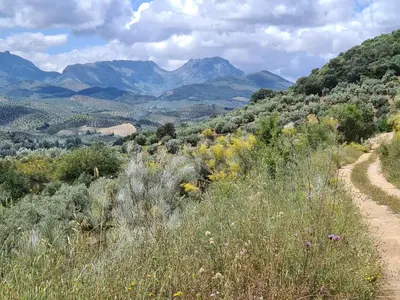 Paisaje cerca de esta casa o chalet