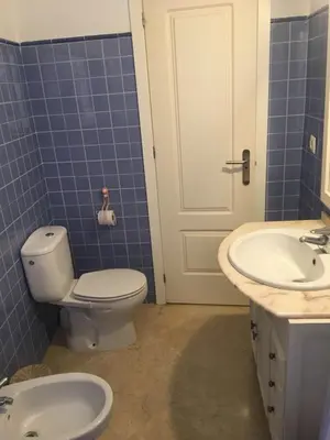 Un baño de Alameda de Hércules, Muy Céntrico