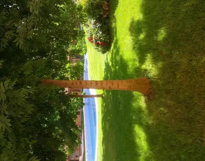 Paisaje cerca de este apartamento