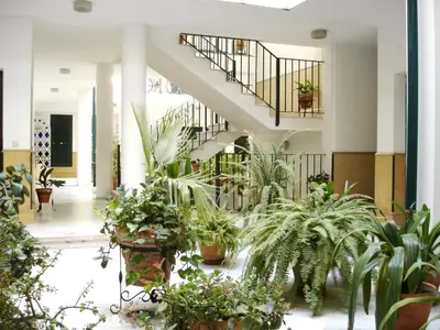 Plano de Archeros Oasis