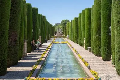 Piscina en o cerca de Apartamento con encanto en Córdoba