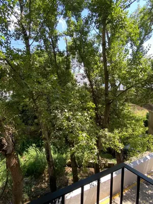 Jardín al aire libre en Casa Cueva Un Rincón en la Roca