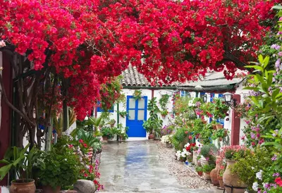 Jardín al aire libre en Casa Turística San Agustín