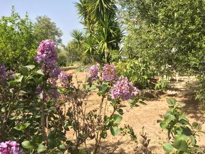 Jardín al aire libre en Rural El Puerto Mayordomo