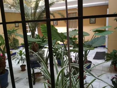 Jardín al aire libre en Two Bedrooms Leonor Davalos 2