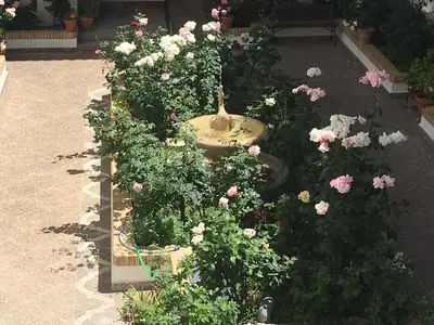 Jardín al aire libre en Tourist House Santa Maria de Gracia