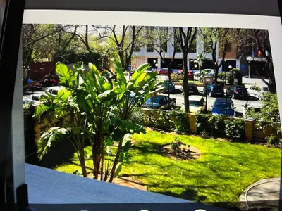Jardín al aire libre en Milenium Palace - Garaje incluido - Piscina-FIBES