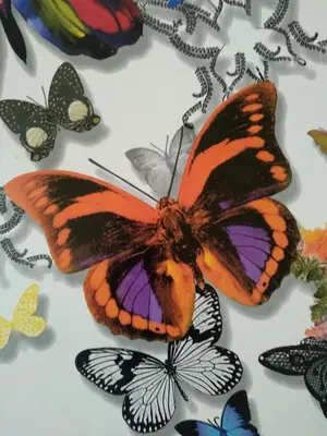 Plano de SEVILLA BUTTERFLY SUITES