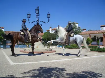 Montar a caballo en el apartamento o alrededores