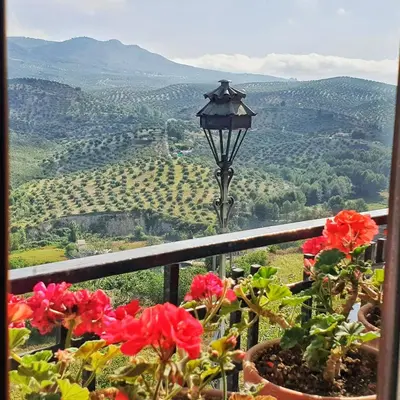 Vista general de una montaña o vista desde la casa o chalet