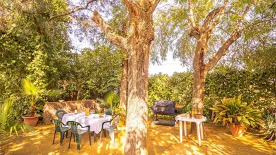 Jardín al aire libre en Casa Rural Santa Ana