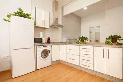Una cocina o zona de cocina en Canadian 1