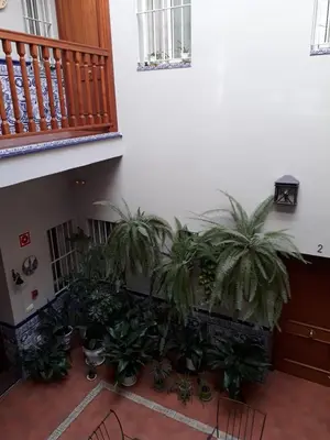 Plano de Pension Doña Trinidad