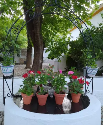 Jardín al aire libre en Cortijo Abril