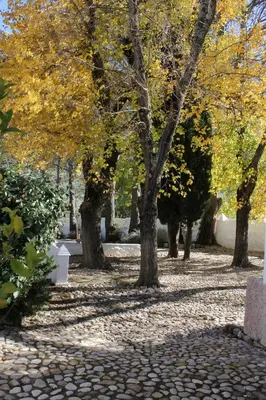 Jardín al aire libre en Cortijo Abril