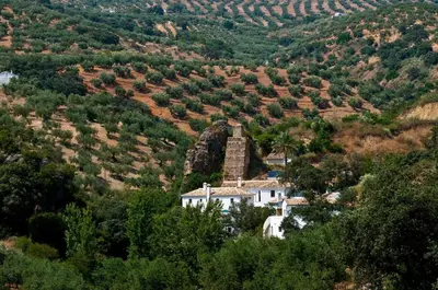 Paisaje cerca de este apartamento