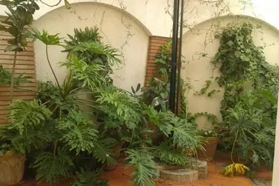 Jardín al aire libre en ATICO CALERIA CON VISTAS A LA GIRALDA