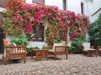 Jardín al aire libre en ALHAJAS DE CORDOBA