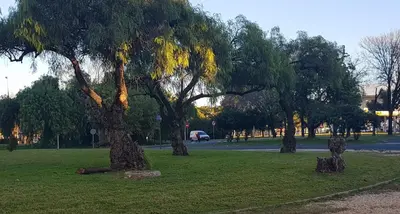 Jardín al aire libre en Apartamento frente a Palacio de Congresos (Fibes)