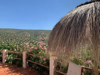 Paisaje cerca de este bed & breakfast