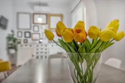 Plano de Apartamento Homies Córdoba - Parking incluido