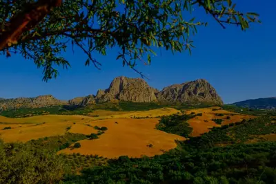 Paisaje cerca de este bed & breakfast