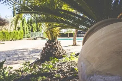 Jardín al aire libre en Cosy house in Estepa with mountain view