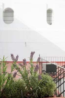 Jardín al aire libre en Sevilla Blossom Elegant and bright 2 Rooms - 4PX