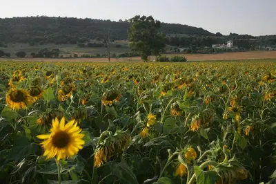 Paisaje cerca de esta villa