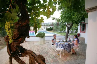 Jardín al aire libre en Cortijo El Triguero N-398 Ctra Carmona – El Viso del Alcor Km 18