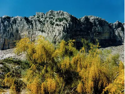 Paisaje cerca de esta casa o chalet