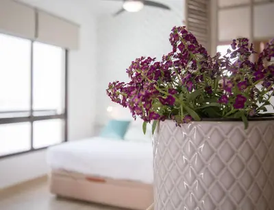 Cama o camas de una habitación en Santa Marina Central Loft by Valcambre