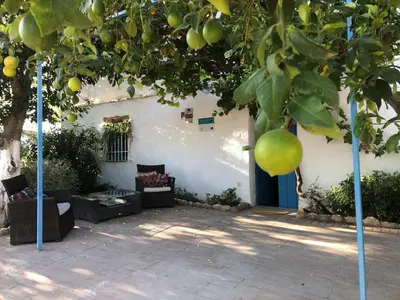 Jardín al aire libre en Casa de la vega