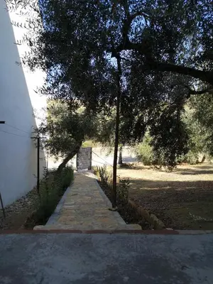 Plano de Apartamento El Carmen