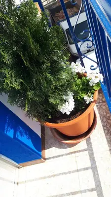 Piscina en o cerca de VILLA MARIA