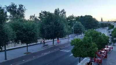 Clientes alojados en Paseo de la Ribera 32