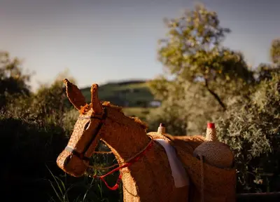 Animales en el bed & breakfast o alrededores