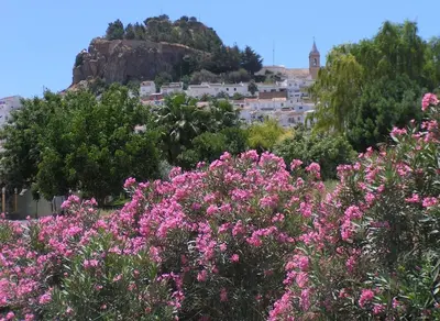 Paisaje cerca de este apartamento