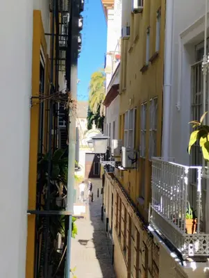 El barrio de los alrededores o un barrio cerca de este apartamento