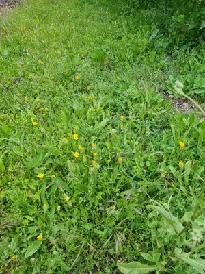 Jardín al aire libre en FINCA Del VALLE VTAR