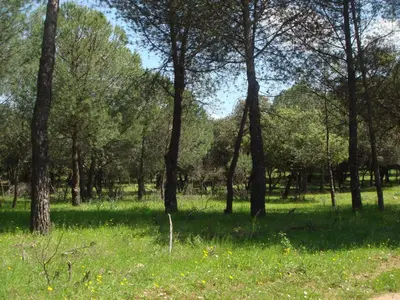 Paisaje cerca of this country house