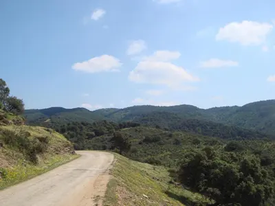 Paisaje cerca of this country house