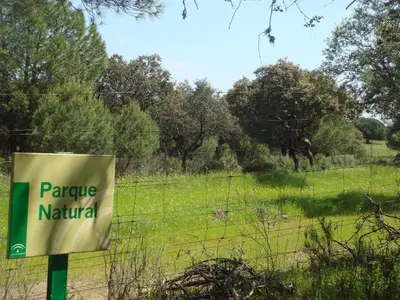 Paisaje cerca of this country house