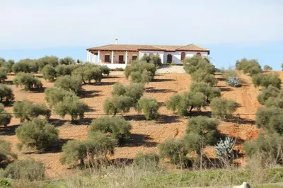 Paisaje cerca de esta casa o chalet