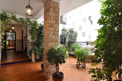 Jardín al aire libre en Hospedería Los Angeles