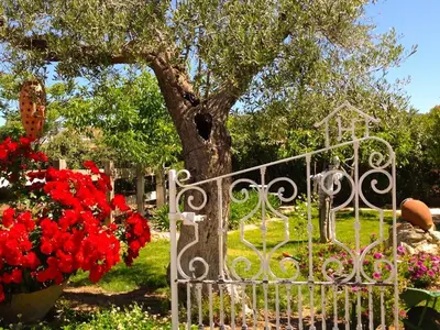 Jardín al aire libre en Hotel Rural Finca La Herencia