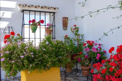 Jardín al aire libre en Cortijo del Coco