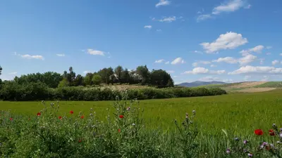 Paisaje cerca of this country house