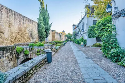 Jardín al aire libre en Apartamento Los Patios